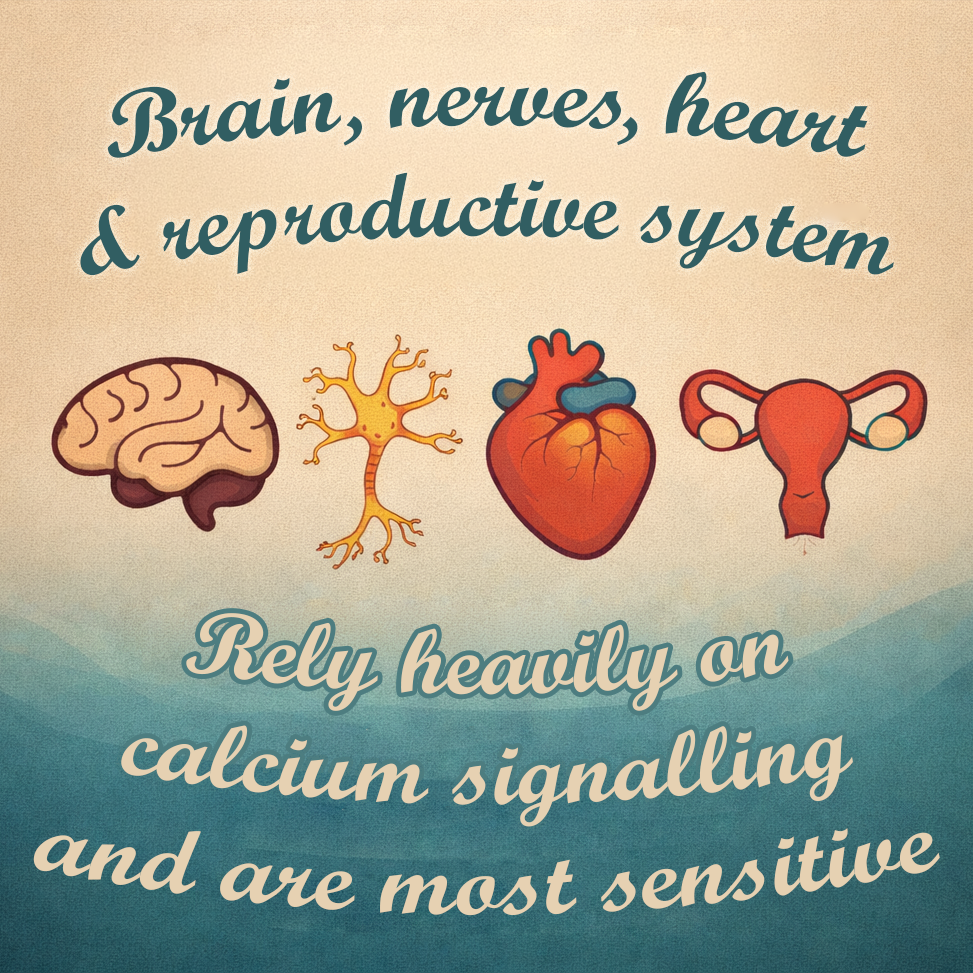 Some people get sick in modern wireless environments. And no one knows how to talk about it properly.