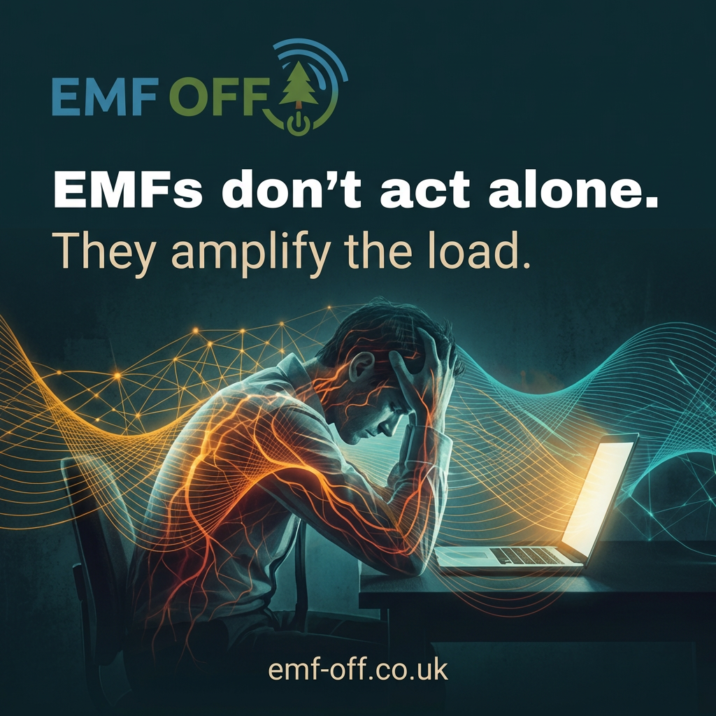 Some people get sick in modern wireless environments. And no one knows how to talk about it properly.